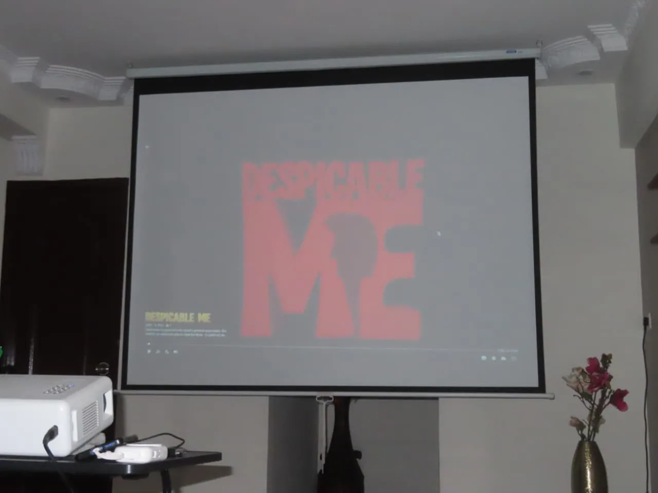 Despicable Me on a projector